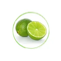Lime Puree 100% FRZ 6 x 1 KG