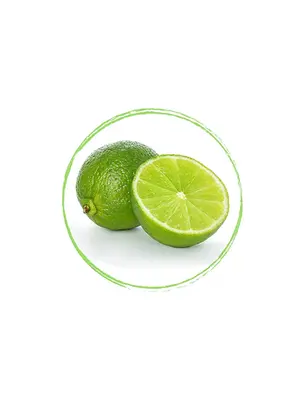 FRUITS ROUGES DE L'AISNE Lime Puree 100% FRZ 6 x 1 KG