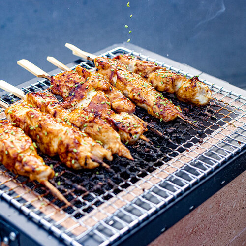 KONRO Kaginushi Konro Small Yakitori Grill