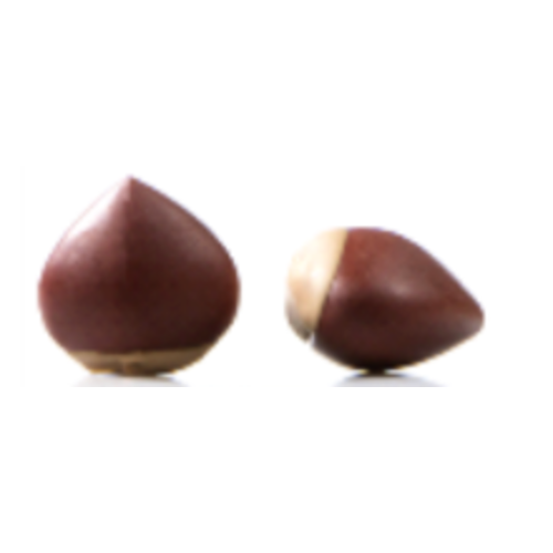 DOBLA Chocolate Chestnut 36 Pieces DOBLA Chocolate Chestnut 36 Pieces