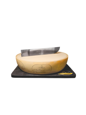 BELLA LODI Raspadura Wheel 18 months 17 KG