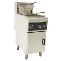 HDSEFF-28L Commercial Electric Deep Fryer