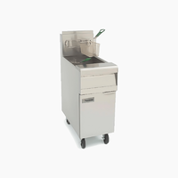 SR 142GNS Super Runner Fryer