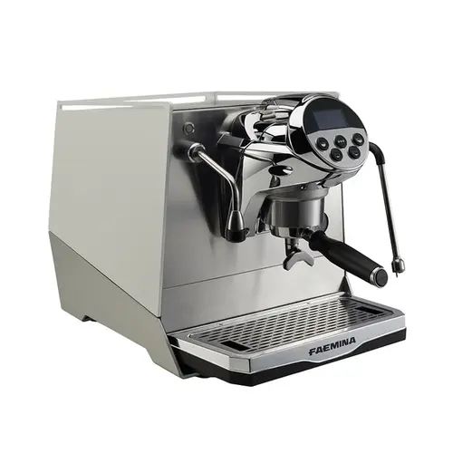 FAEMINA FAEMINA A/1 GTI-1 Group Coffee Machine FAEMINA FAEMINA A/1 GTI-1 Group Coffee Machine