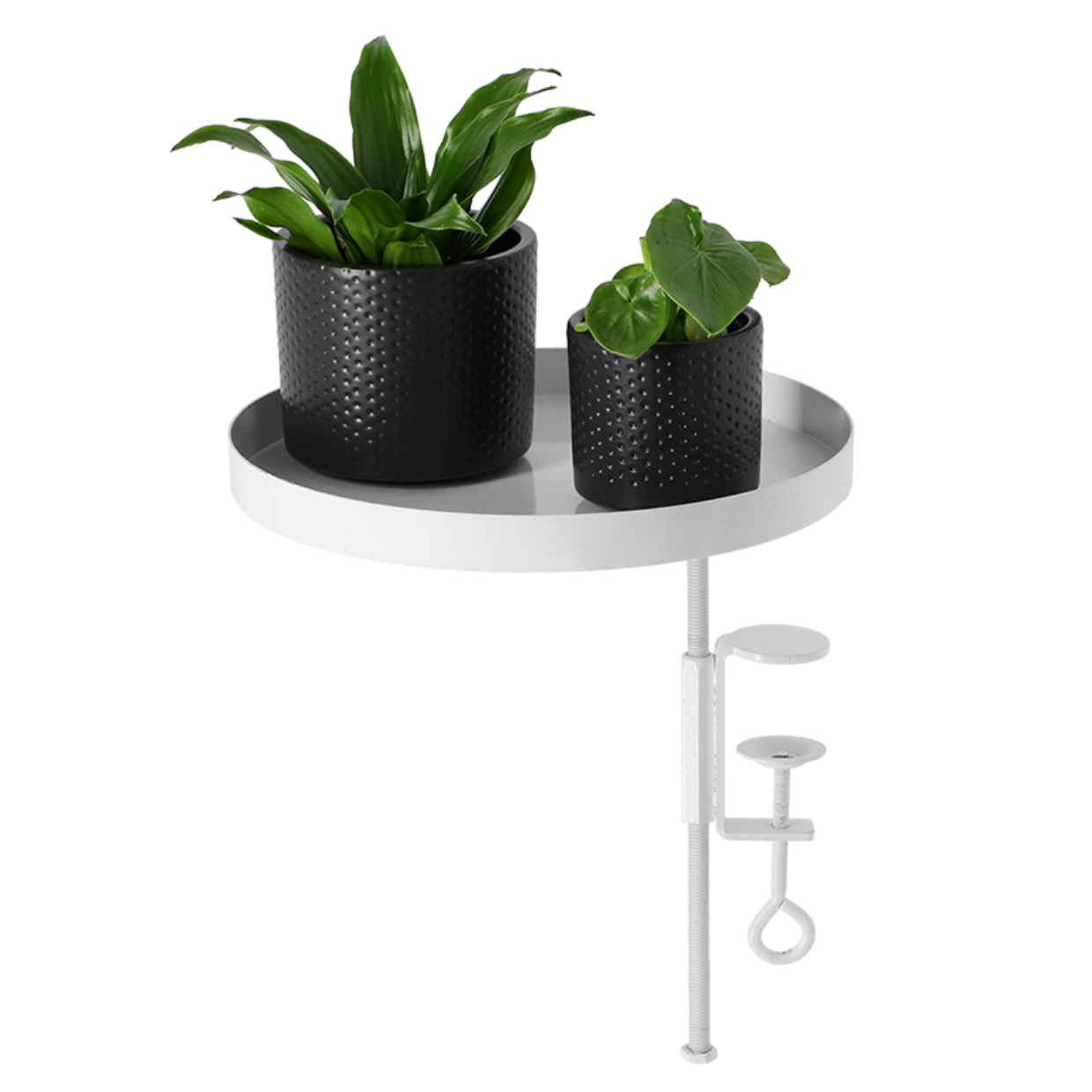 Esschert Design - Pince pour banc de fenêtre - L - Blanc