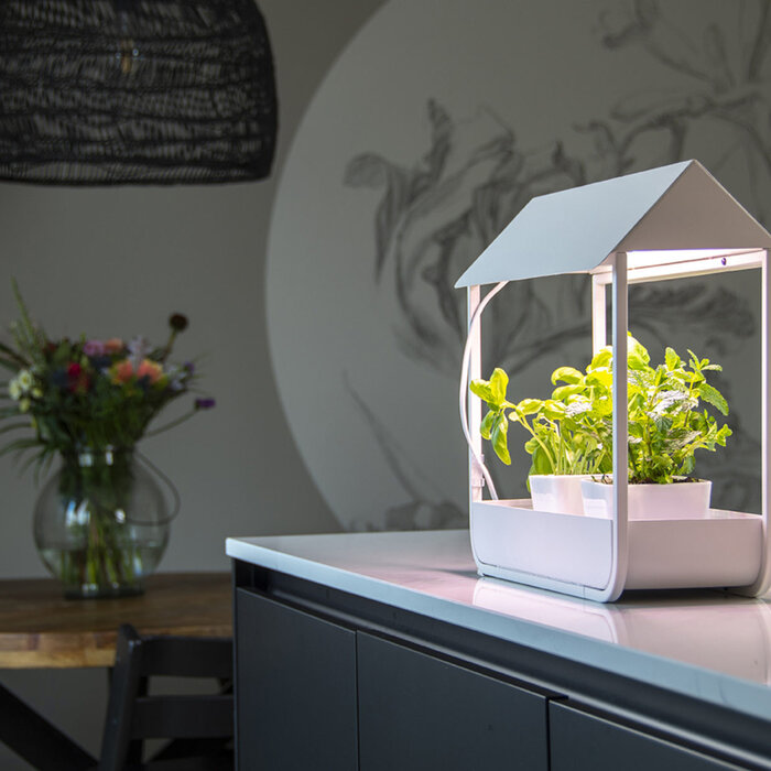 Esschert Design Planten groei lamp kweekkas wit - Mini kweekkas - led groeilamp - auto-timer - modern