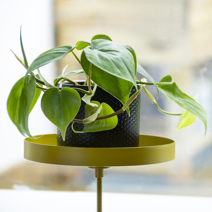 Esschert Design Esschert design - Pince d'appui de fenêtre or M