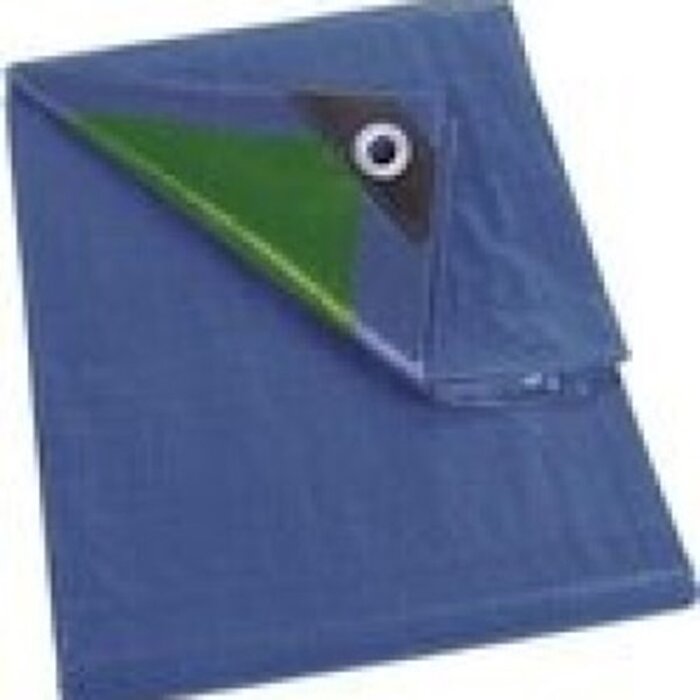 Perel Perel Plane, 14 Ringe, verstärkte Ecken, rechteckig, blau/grün, 70 g/m², 3 x 4 m