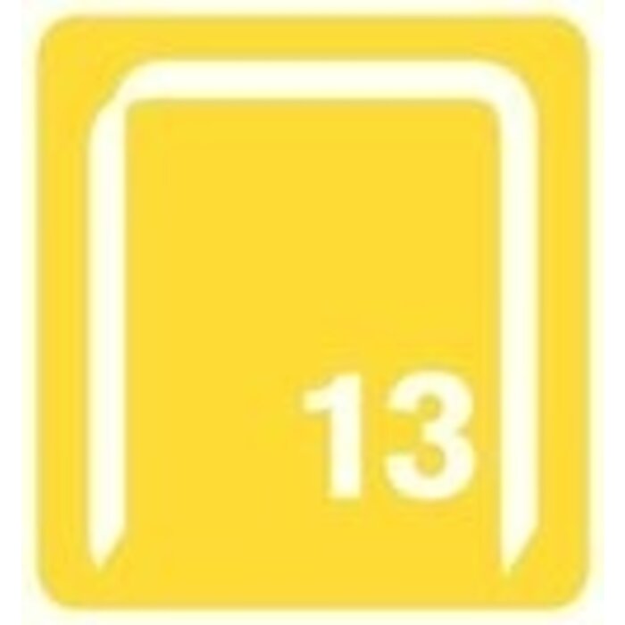 Rapid Rapid Nieten 13-4 mm Gegalvaniseerd 2.500 st.. Box