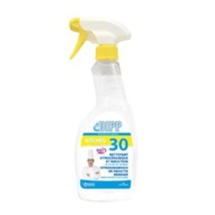 DIPP DIPP 30 - REINGER VITROCÉRAMIQUE ET INDUCTION EASY PRO SPRAY 500ml
