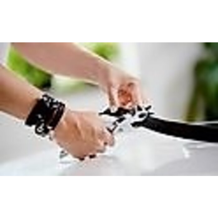 Rapid Rapid revolverponstang RP03