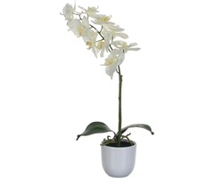 Mica Decorations Künstliche Phalaenopsis-Pflanze im Blumentopf Tusca – H60 x Ø16 cm – Weiß