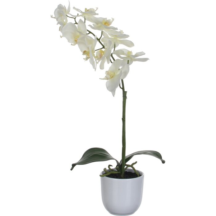 Mica Decorations Künstliche Phalaenopsis-Pflanze im Blumentopf Tusca – H60 x Ø16 cm – Weiß