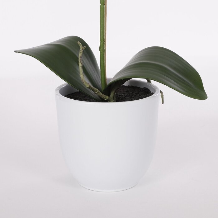 Mica Decorations Phalaenopsis Kunstplant in Bloempot Tusca - H60 x Ø16 cm - Wit