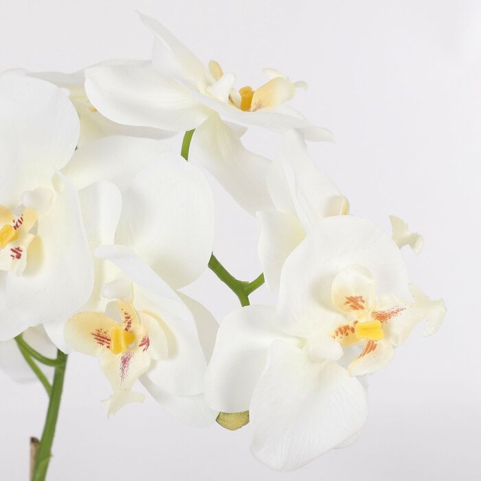 Mica Decorations Künstliche Phalaenopsis-Pflanze im Blumentopf Tusca – H60 x Ø16 cm – Weiß