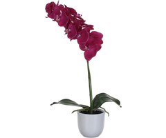 Mica Decorations Phalaenopsis Kunstplant in Bloempot Tusca - H60 x Ø16 cm -Paars