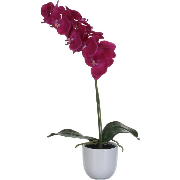 Mica Decorations Phalaenopsis Kunstplant in Bloempot Tusca - H60 x Ø16 cm -Paars