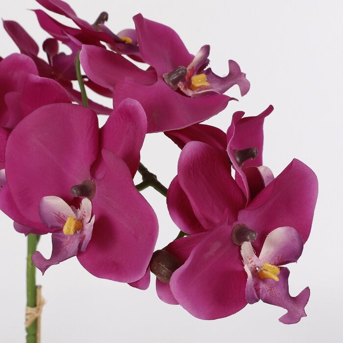 Mica Decorations Plante Phalaenopsis Artificielle en Pot Tusca - H60 x Ø16 cm - Violet