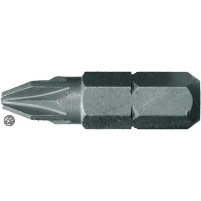 Skandia Skandia Schroefbit Torx - TX 20 x 25 mm