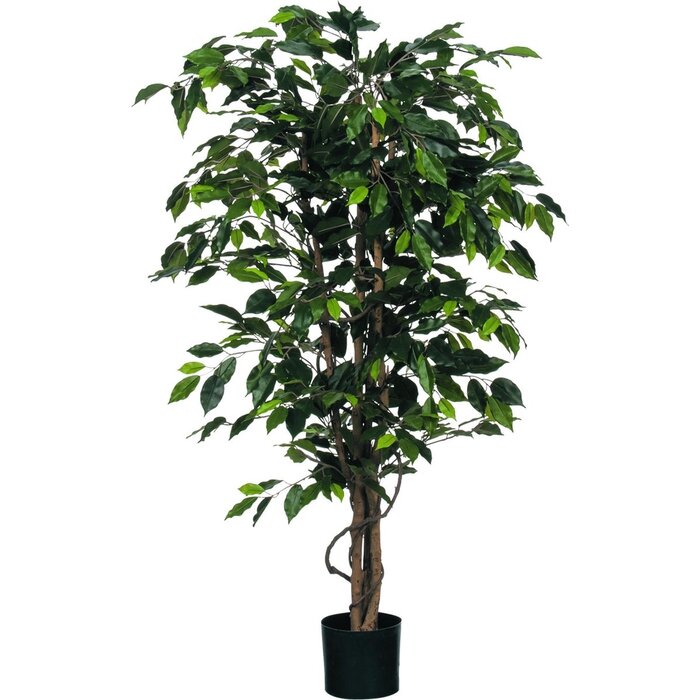 Mica Decorations Künstliche Ficus-Pflanze – H135 x Ø75 cm – grün