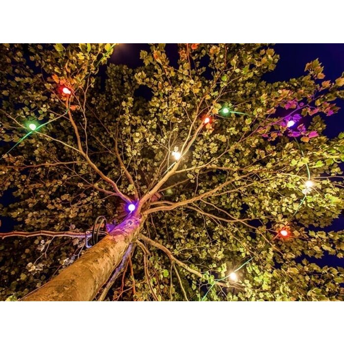 Perel LED-Partygirlande mit 20 farbigen LED-LeuchtenVelleman