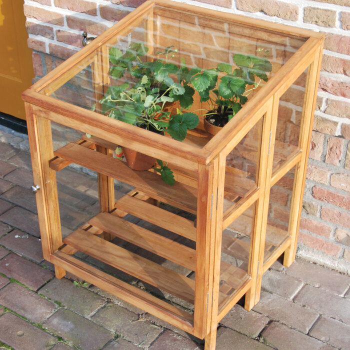 Esschert Design Dutchlander hardhouten kweekkas