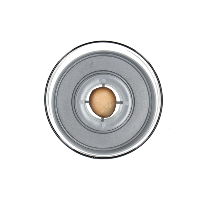 Dutchlander Dutchlander Avocado Samen Set aus recyceltem Glas