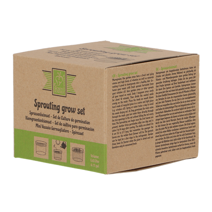 Dutchlander Dutchlander sprout Gemüse wachsen Kit recyceltem Glas