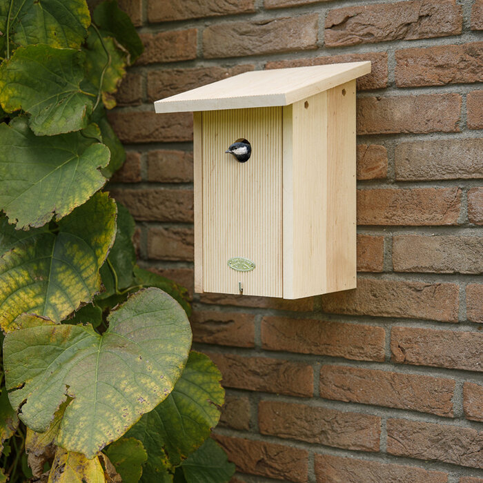 Esschert Design Esschert Design Nistkasten Great Tit im Geschenkkarton