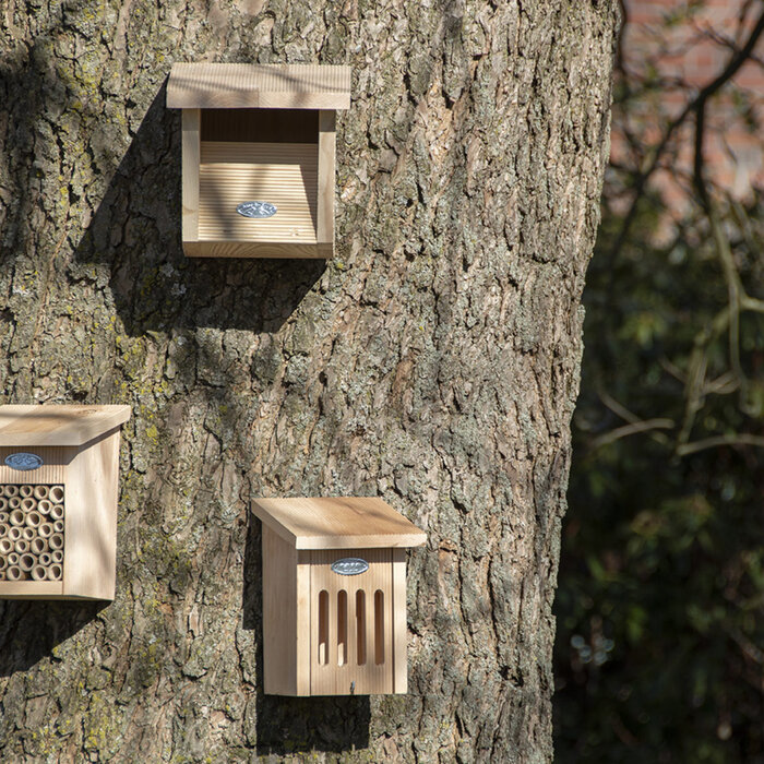 Esschert Design Esschert Design - Nestkast - Roodborst  - in Giftbox