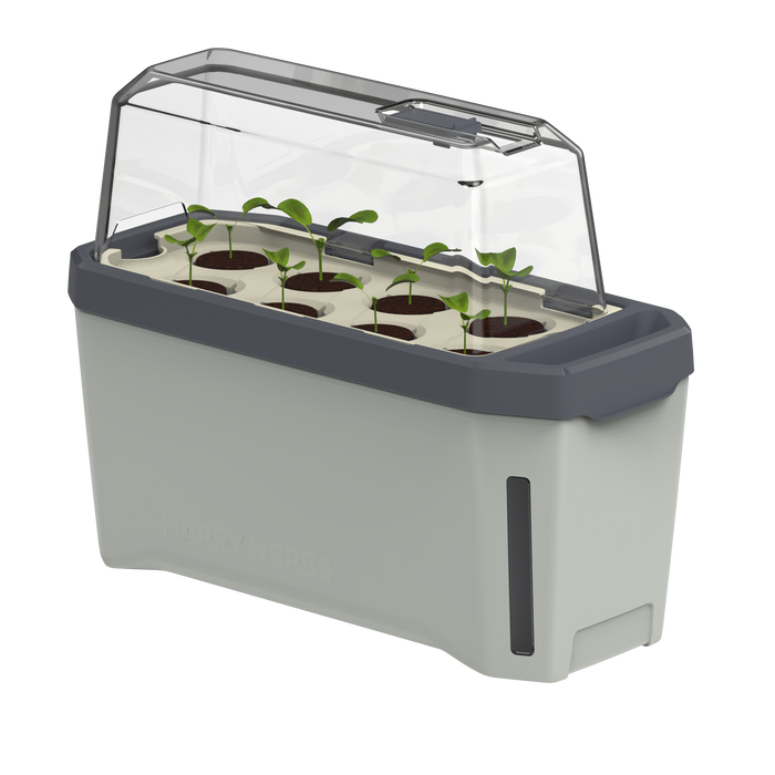 Gusta Garden Gusta Garden Harry Herbs smart Kräuterbehälter mit Deckel, hellgrau