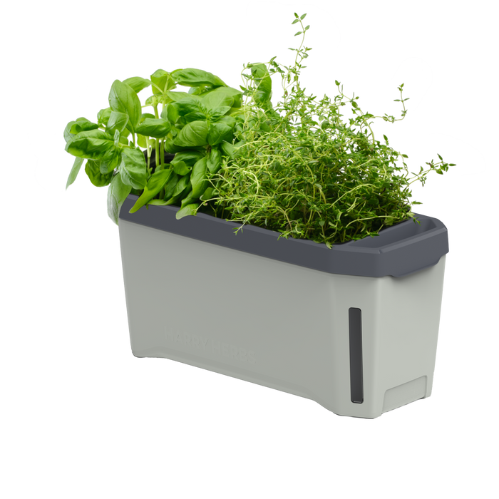 Gusta Garden Gusta Garden Harry Herbs smart Kräuterbehälter mit Deckel, hellgrau