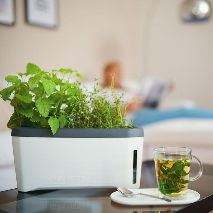 Gusta Garden Gusta Garden Harry Herbs slimme kruidenbak met deksel, lichtgrijs