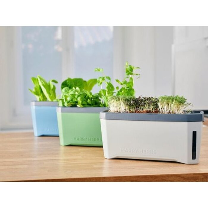 Gusta Garden Gusta Garden Harry Herbs slimme kruidenbak met deksel, lichtgrijs