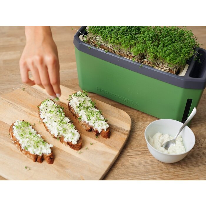 Gusta Garden Gusta Garden Harry Herbs slimme kruidenbak met deksel, groen