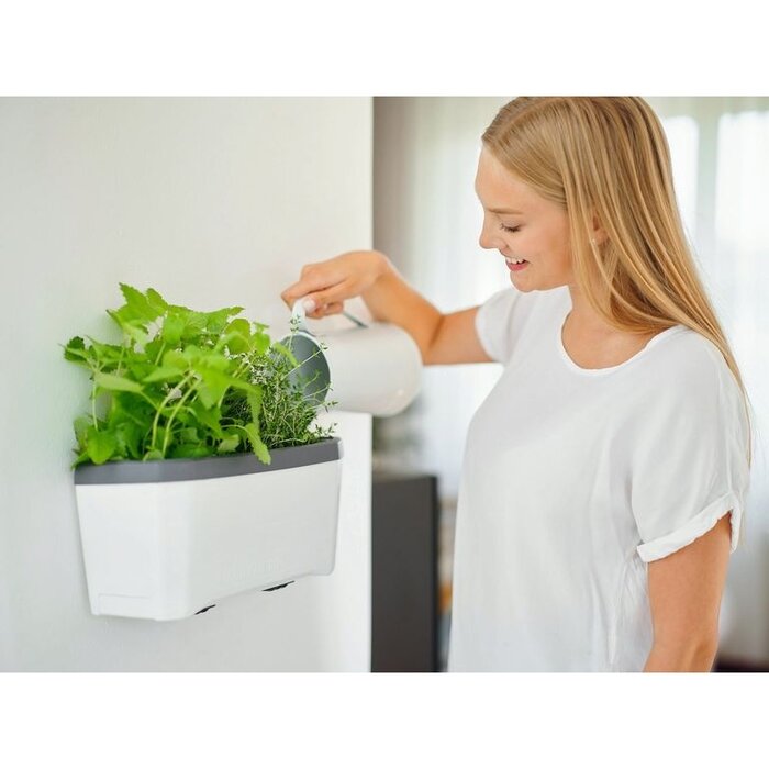 Gusta Garden Gusta Garden Harry Herbs Muurbevestiging