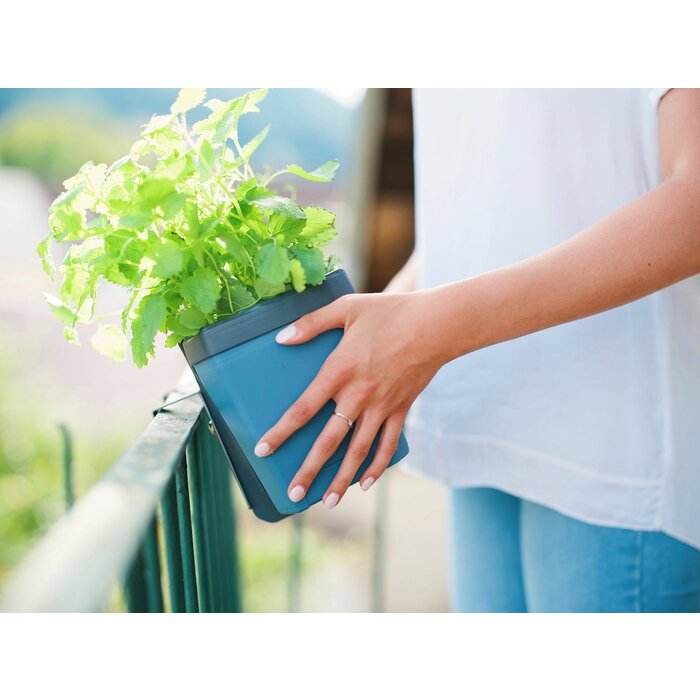 Gusta Garden Attachement de balcon Gusta Garden Harry Herbs , 25 mm
