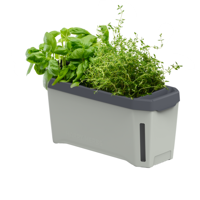 Gusta Garden Stand en bois Gusta Garden Harry Herbs avec supports