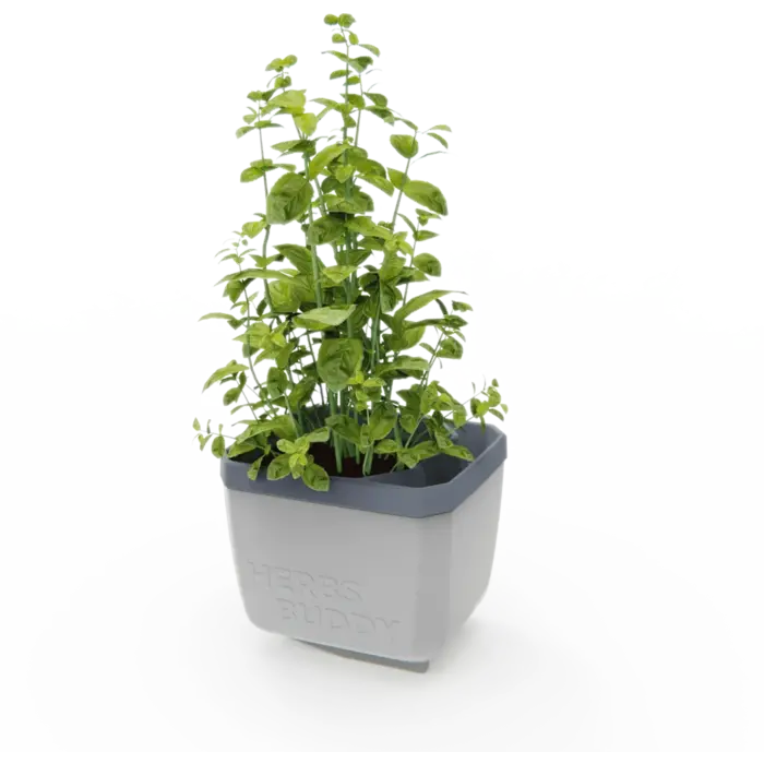 Gusta Garden GUSTA GARDEN Herbs Buddy zelfbewateringskruidenpot ideaal voor o.a. basilicum grijs