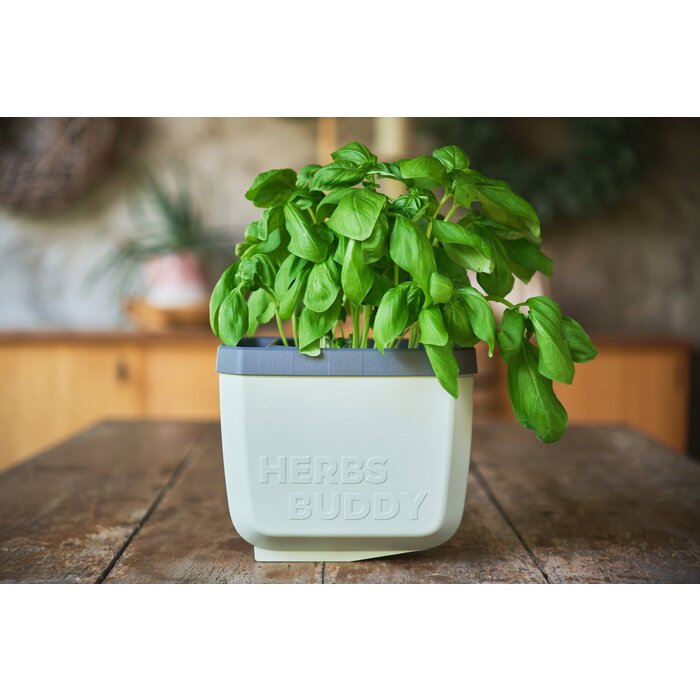 Gusta Garden GUSTA GARDEN Herbs Buddy zelfbewateringskruidenpot ideaal voor o.a. basilicum Blauw