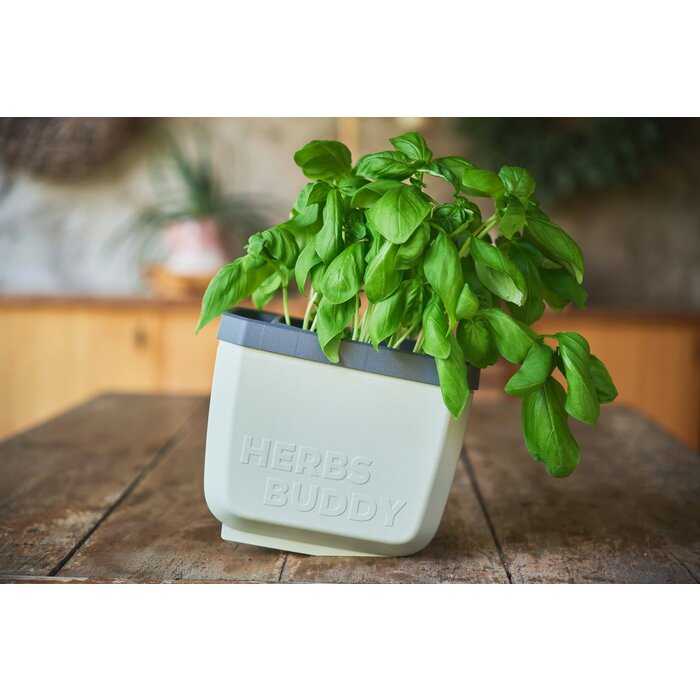 Gusta Garden GUSTA GARDEN Herbs Buddy zelfbewateringskruidenpot ideaal voor o.a. basilicum Blauw
