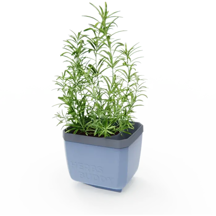 Gusta Garden GUSTA GARDEN Herbs Buddy selbstbewässernder Kräutertopf ideal für Basilikum u.a.Blau
