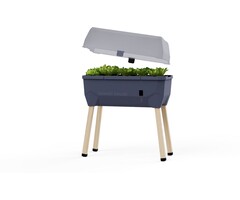 Gusta Garden Gusta Garden Sammy Salad kweekbak met watertank en deksel, Antraciet