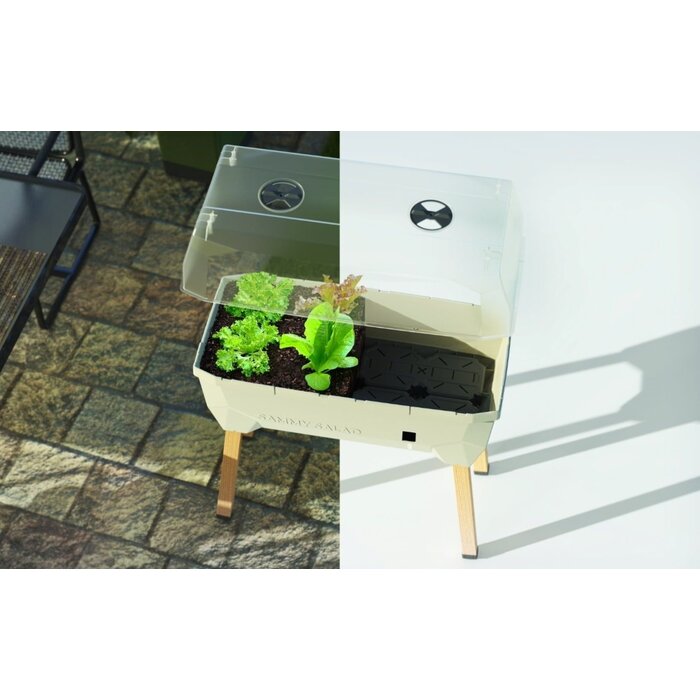 Gusta Garden Gusta Garden Sammy Salad kweekbak met watertank en deksel, Antraciet