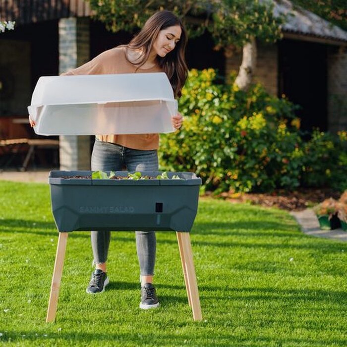Gusta Garden Gusta Garden Sammy Salad kweekbak met watertank en deksel, Antraciet