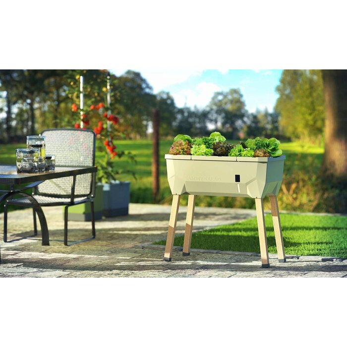 Gusta Garden Gusta Garden Sammy Salad kweekbak met watertank en deksel, Antraciet