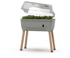 Gusta Garden Gusta Garden Sammy Salatgewächshaus mit Wassertank und Deckel, Grau