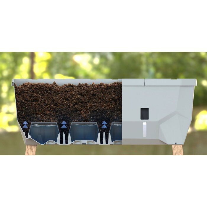 Gusta Garden Propagateur Gusta Gardende Sammy Salad avec réservoir d'eau et couvercle, Gris