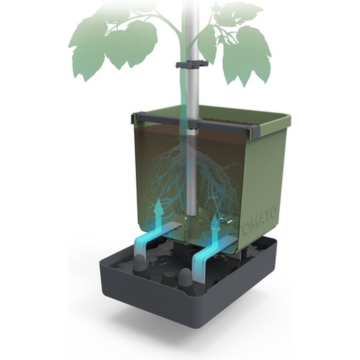 Gusta Garden Gusta Garden Tom Tomato kweekset, Lichtgrijs