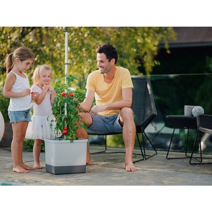 Gusta Garden Kit de culture de tomates Gusta Garden Tom Tomato, Gris clair